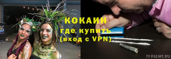 кокс Белокуриха