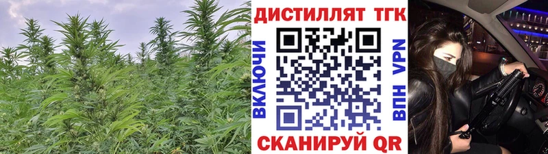 ТГК концентрат  МЕГА рабочий сайт  Балаково 