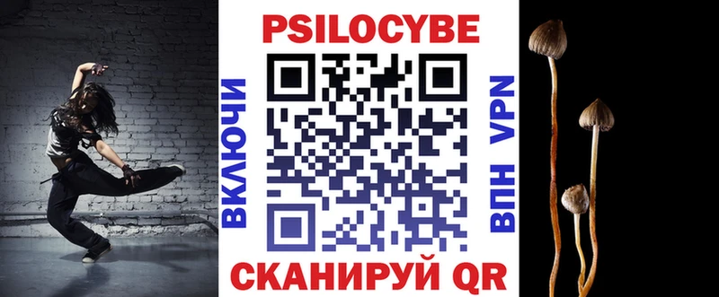Псилоцибиновые грибы Psilocybe  Балаково 